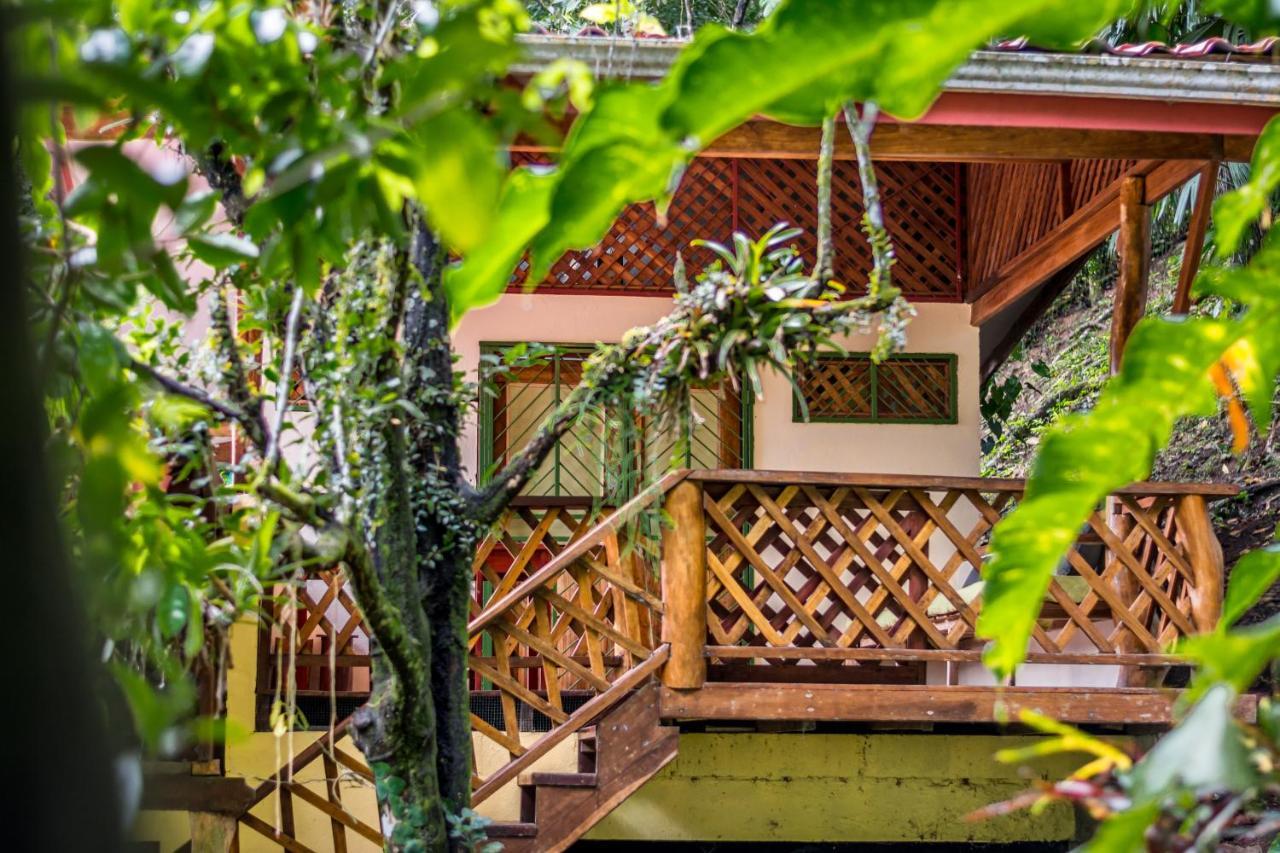 Sea Tower Hotel Puerto Viejo de Talamanca Dış mekan fotoğraf