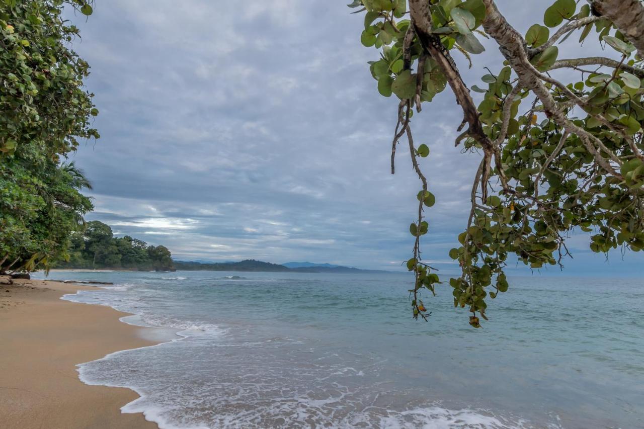 Sea Tower Hotel Puerto Viejo de Talamanca Dış mekan fotoğraf